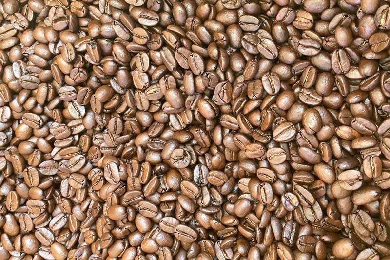 Kona Coffee Beans